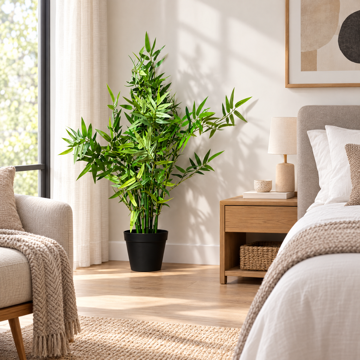 The Zen Bamboo Plant